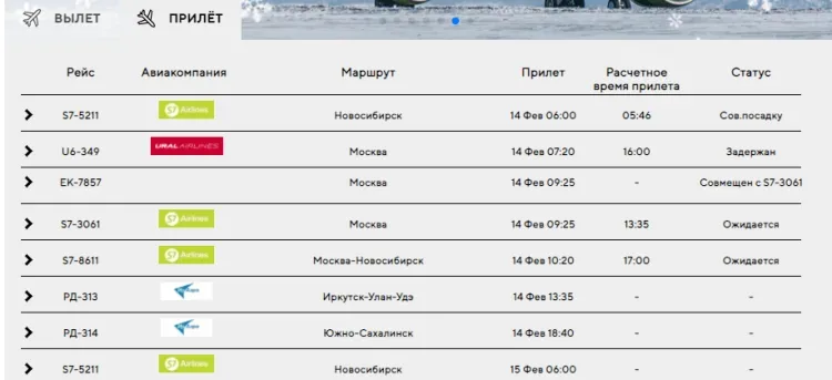 Снегопад в Москве повлиял на задержку авиарейсов в Благовещенске