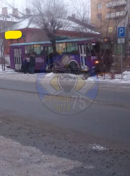 В Чите троллейбус врезался в дерево после столкновения с иномаркой