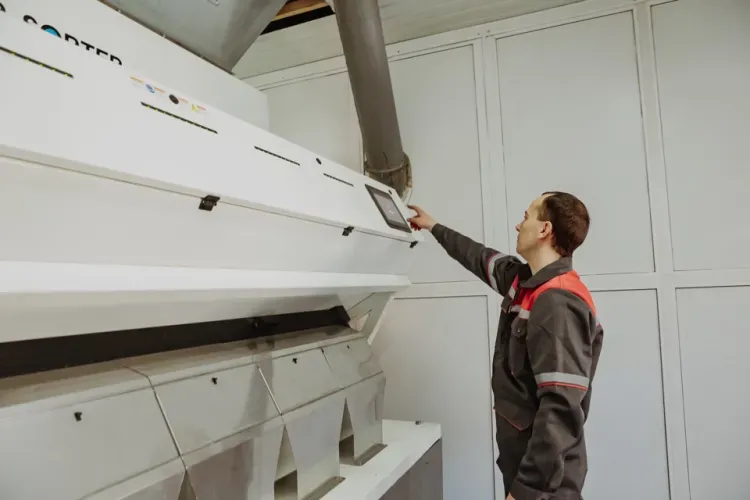 Семенной завод в Благовещенском районе поможет аграриям увеличить урожайность