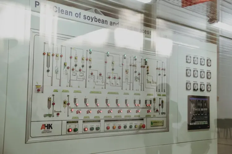 Семенной завод в Благовещенском районе поможет аграриям увеличить урожайность