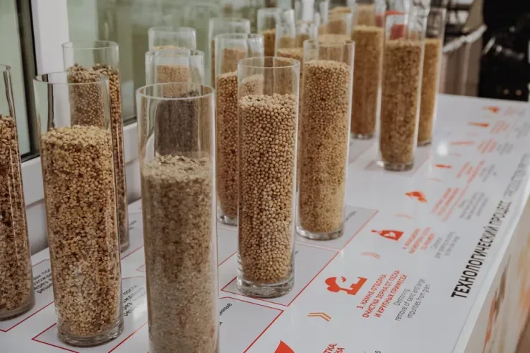 Семенной завод в Благовещенском районе поможет аграриям увеличить урожайность