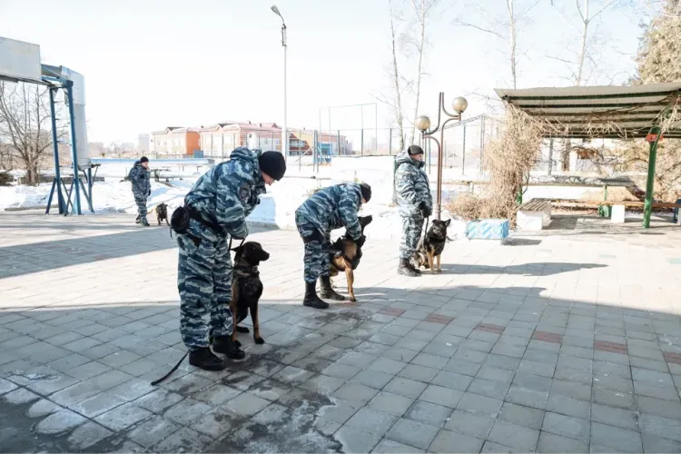 Женщин-кинологов поздравил с наступающим 8 Марта Василий Орлов