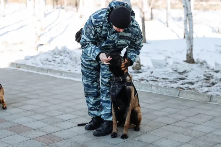 Женщин-кинологов поздравил с наступающим 8 Марта Василий Орлов