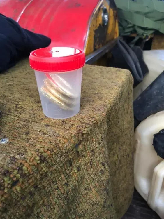 Жителя Зеи осудили за незаконные хранение и перевозку трех слитков золота