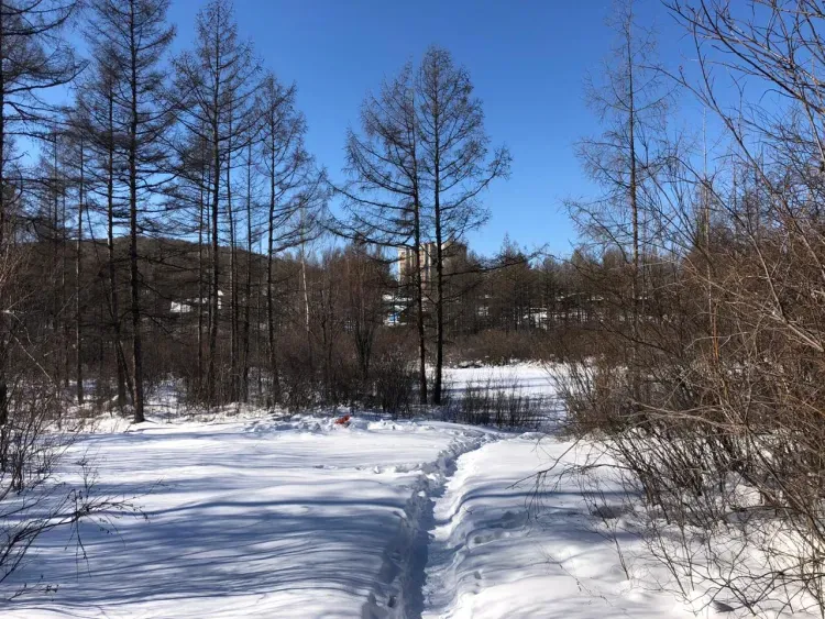 В Тынде построят пешеходный мост, связывающий микрорайон с центром города