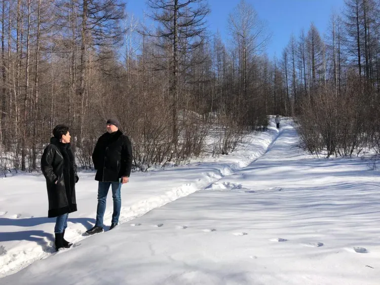 В Тынде построят пешеходный мост, связывающий микрорайон с центром города