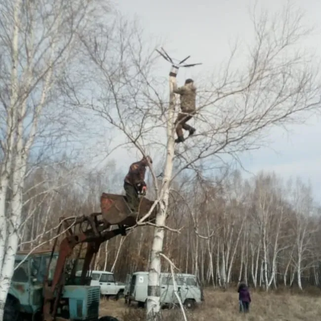 Корзины для гнезд аиста установили в Ивановском районе