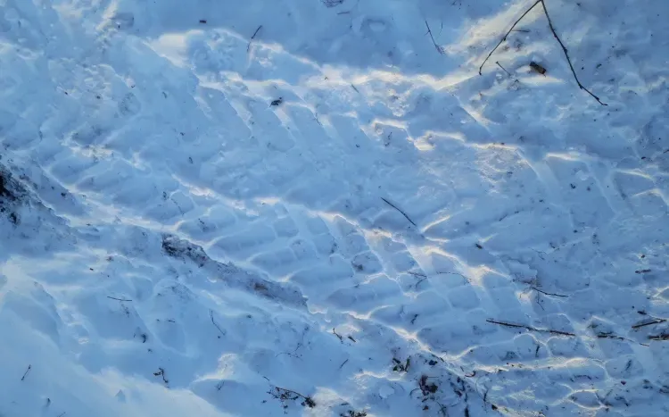 Четверых мужчин ждет суд за кражу железнодорожных рельсов в Сковородинском районе