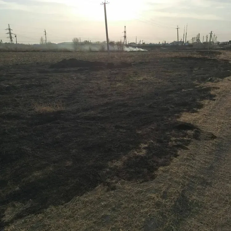 В Благовещенском районе контролируемые отжиги провели на 25 термоточках