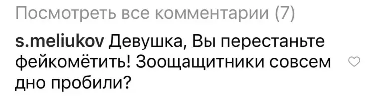 Зоофейк об отстреле бездомных животных в Белогорске распространили в Instagram