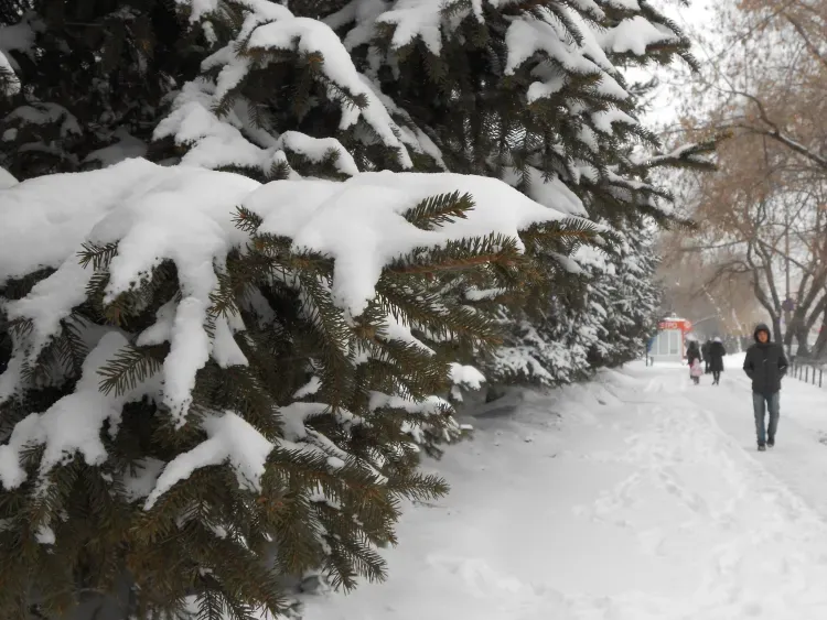 Синоптики объявили штормовое предупреждение для жителей севера Приамурья