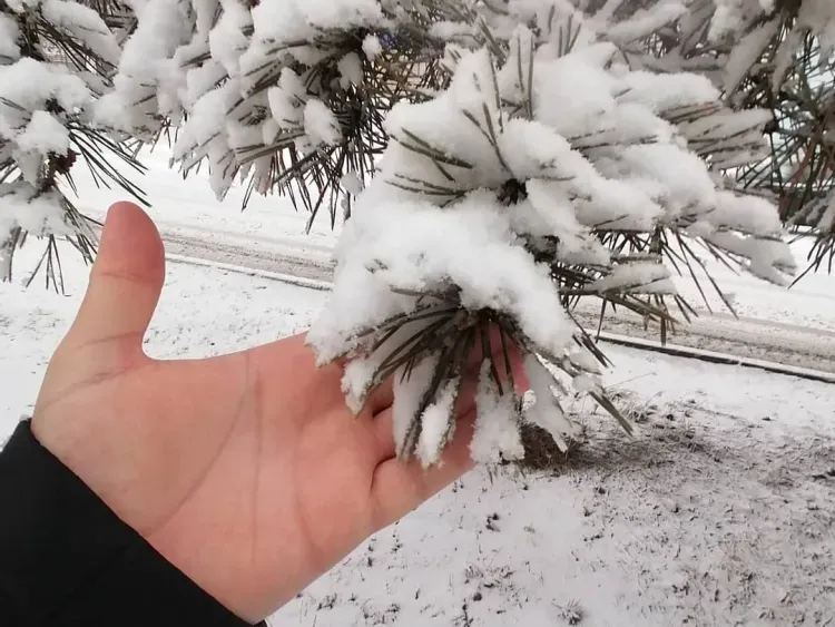 Конец марта в Сковородинском районе оказался снежным