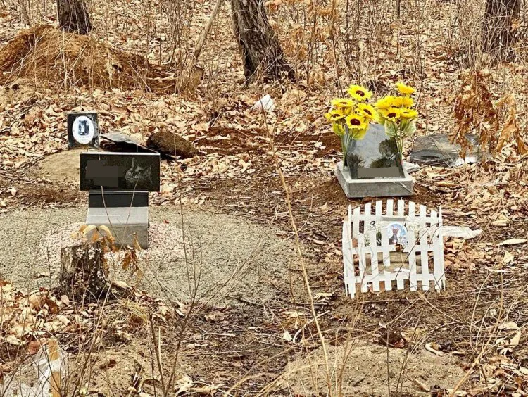 Кладбище домашних животных обнаружили в амурском лесу