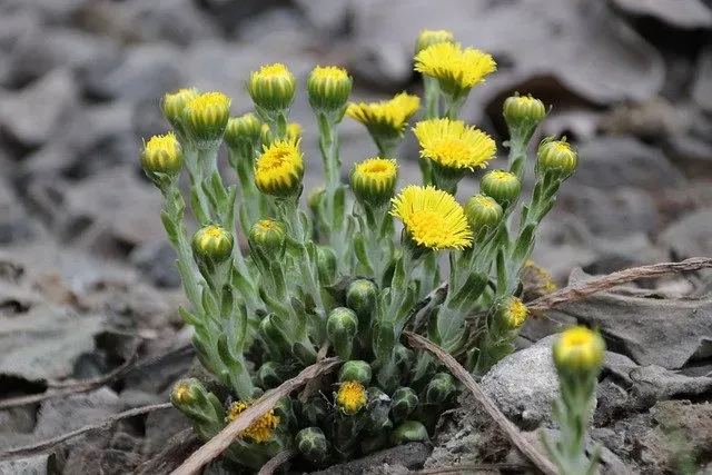 Кирилла - Дери полоза по народному календарю отмечают 31 марта