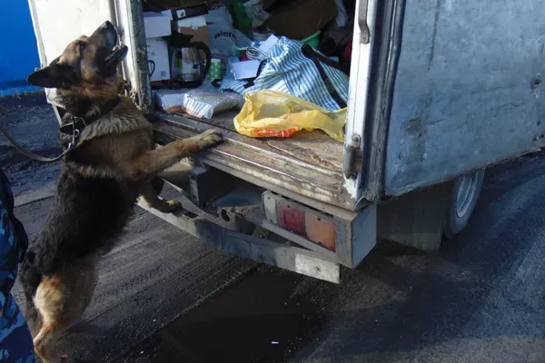 В амурскую колонию пытались завезти запрещенные к использованию сигареты и чайники