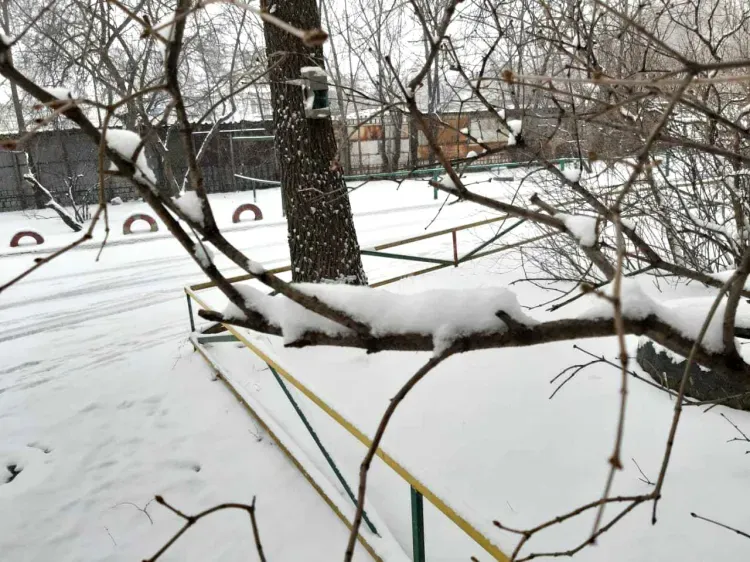 Таксисты взвинтили цены из-за снегопада в Благовещенске