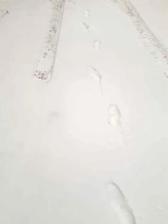 Таксисты взвинтили цены из-за снегопада в Благовещенске