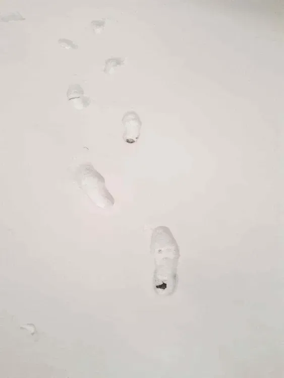 Таксисты взвинтили цены из-за снегопада в Благовещенске