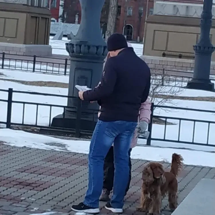 В Благовещенске собачники вели себя неадекватно на прогулке с животными по набережной