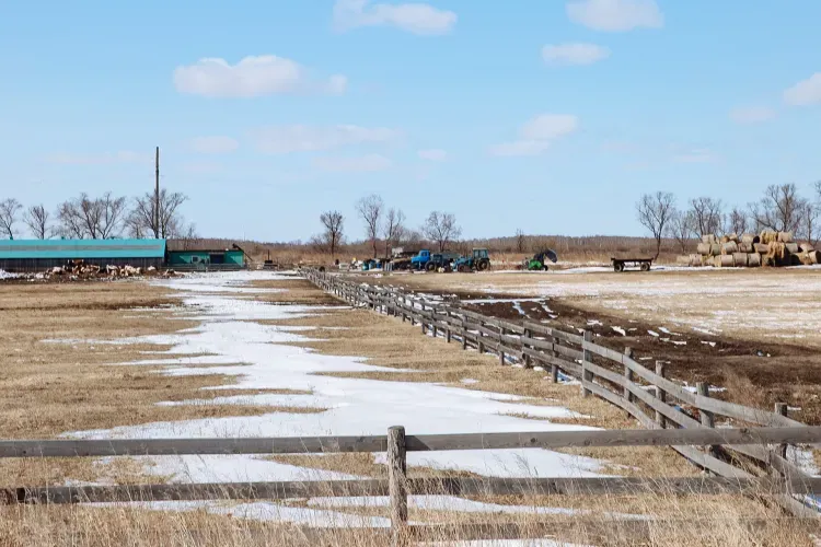 Завод по переработке сои хотят построить в одном из сел Ивановского района