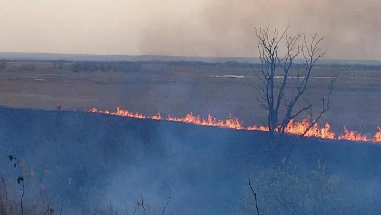 От пожара пострадали 250 гектаров национального парка в Тамбовском районе 
