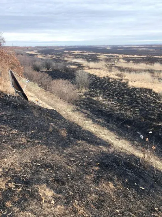 От пожара пострадали 250 гектаров национального парка в Тамбовском районе 