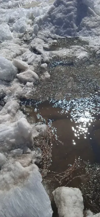 Лед наступает на набережную Амура в Благовещенске