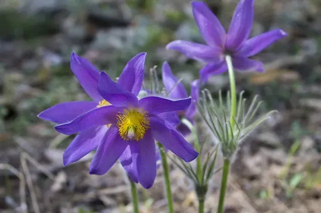 Без осадков, до 12 градусов тепла: погода 24 апреля в Благовещенске