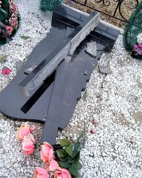 Погром на кладбище в Серышеве устроили двое детей