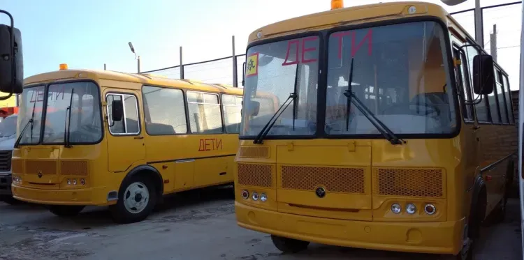 Автопарк школьных автобусов в Приамурье обновят на 35 единиц