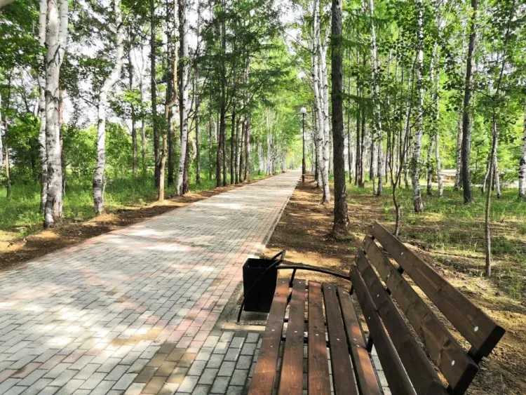 Сквер на месте рощи появится в Циолковском