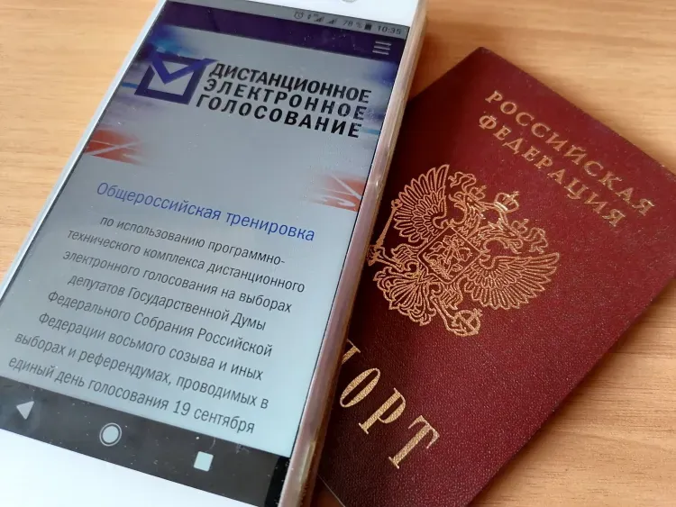 В тренировке дистанционного голосования по выборам поучаствуют амурчане в мае