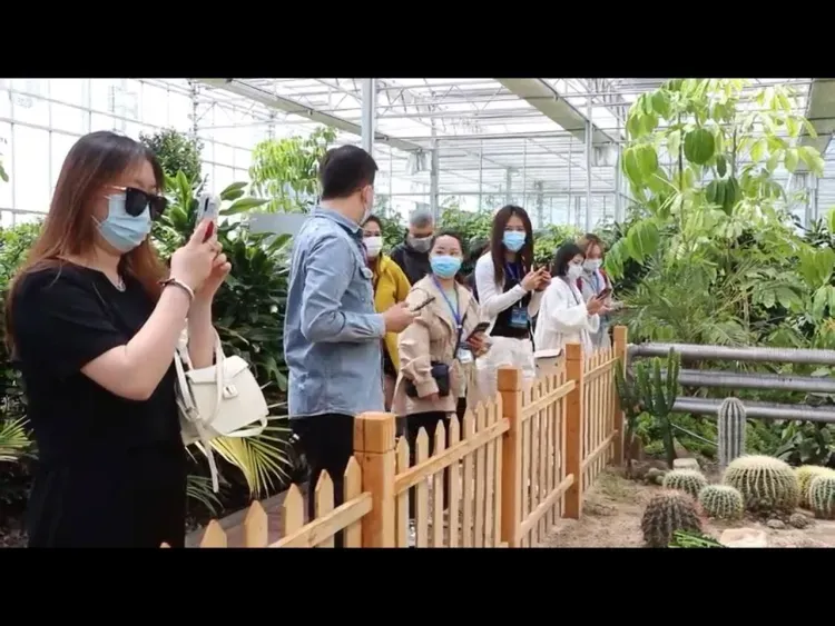 Китайские туристы отметили праздники с русским колоритом на границе с Приамурьем