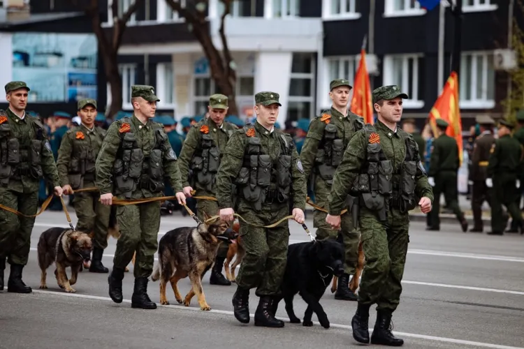 Парад Победы и портреты фронтовиков: амурчане празднуют 9 Мая