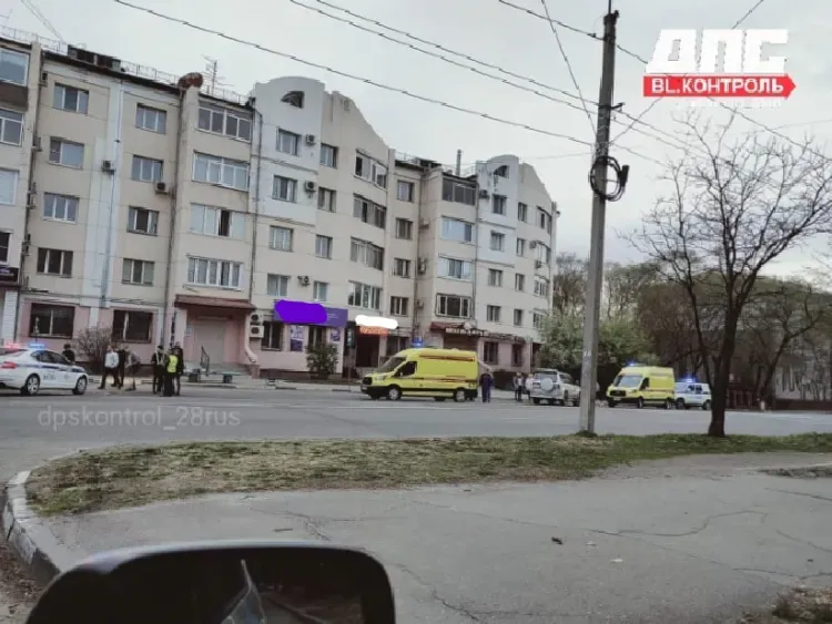 Дром благовещенск сузуки