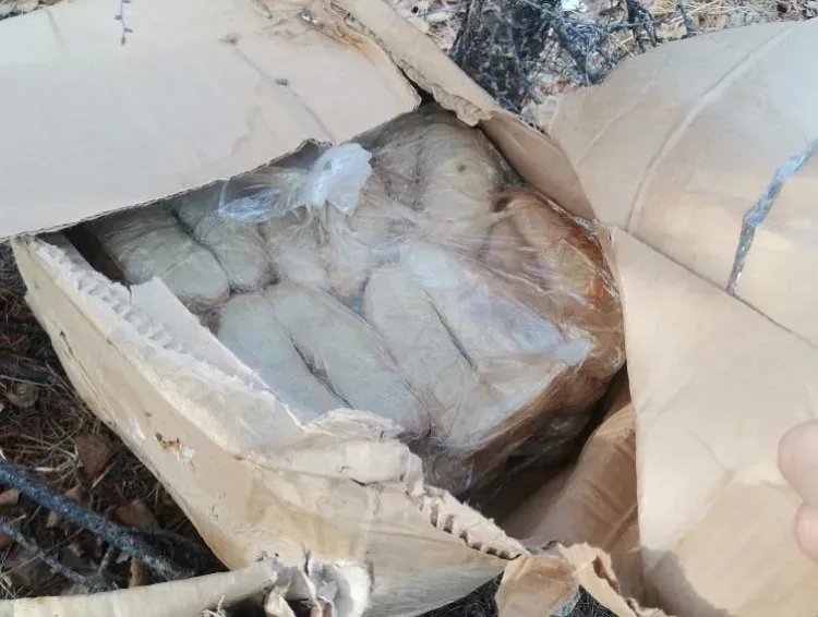 "Приманкой" для медведей посчитали жители Тынды свалку из морепродуктов