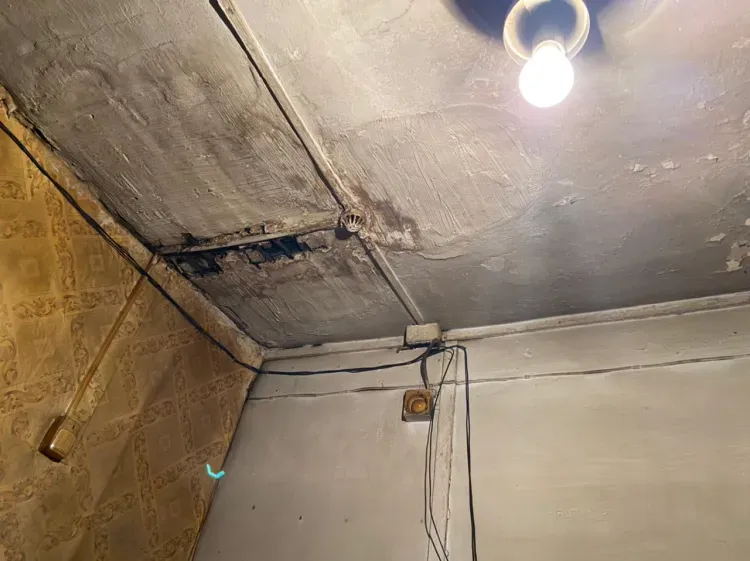 Пекарню закрыли в Тындинском районе за антисанитарию