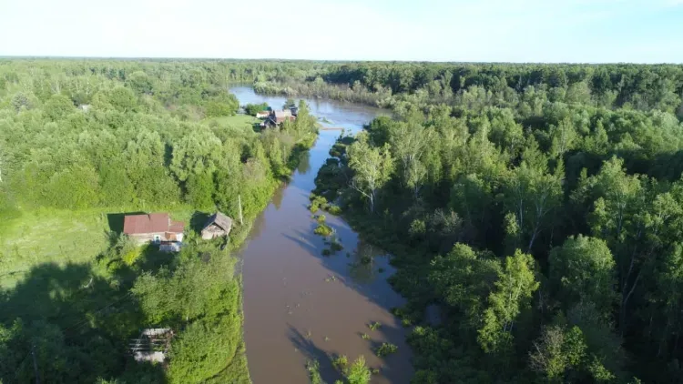 Повышение уровней воды продолжится на Амуре в регионе в ближайшие дни