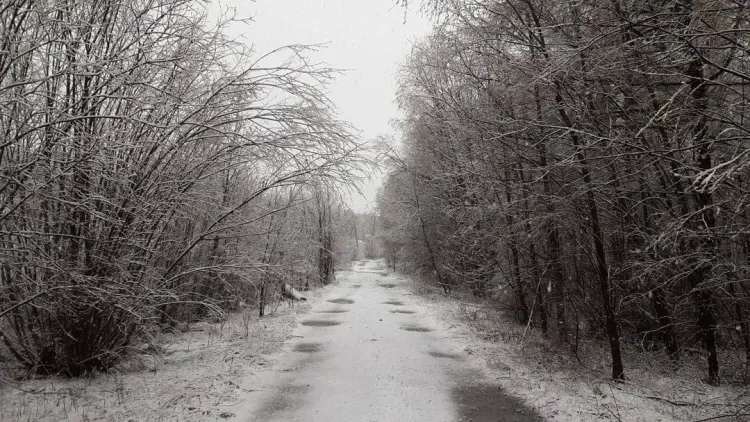 Зима заблудилась в конце мая на севере Приамурья