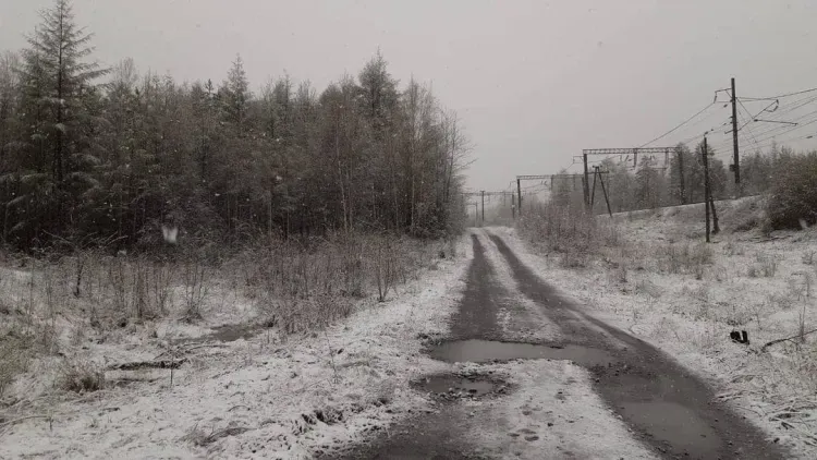 Зима заблудилась в конце мая на севере Приамурья