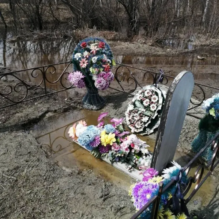 Прокуратура заставила мэрию Зеи избавить кладбище от застоявшейся воды