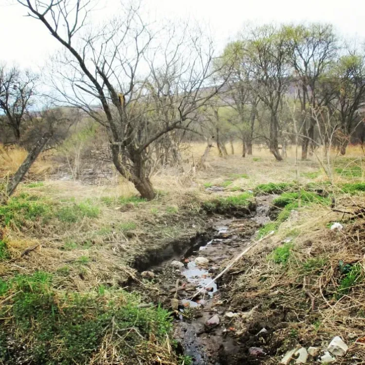 Сотрудники амурского министерства застали водителя за сливом нечистот на землю
