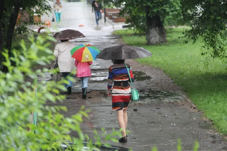 Дождливо и ветрено: погода 3 июня в Благовещенске
