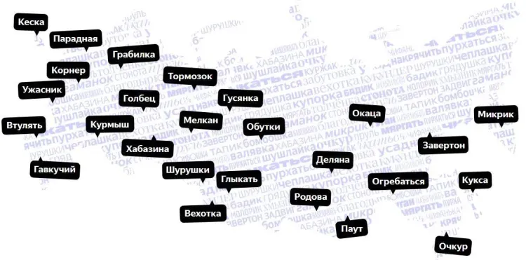 "Гостинка", "темпер" и "федералка": какие диалектизмы употребляют амурчане