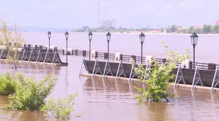 Уровень воды в Амуре в районе китайского Хэйхэ превысит критический