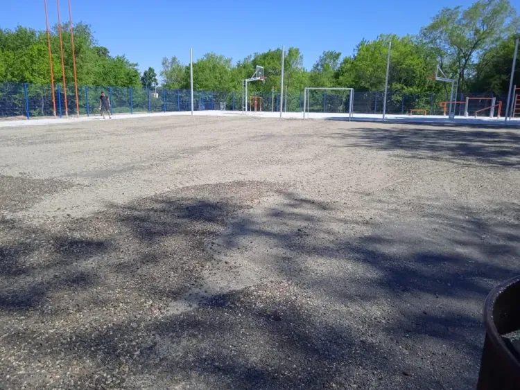 Василий Орлов назвал число спортивных объектов, появившихся при поддержке "Газпрома"