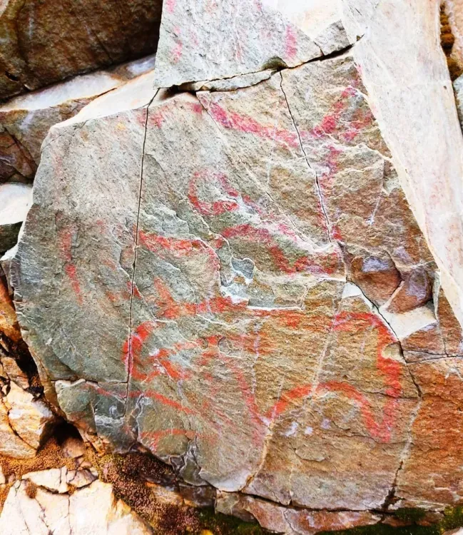 Лоси и поедающий солнце медведь: археологи расшифровали писаницу в Тындинском районе