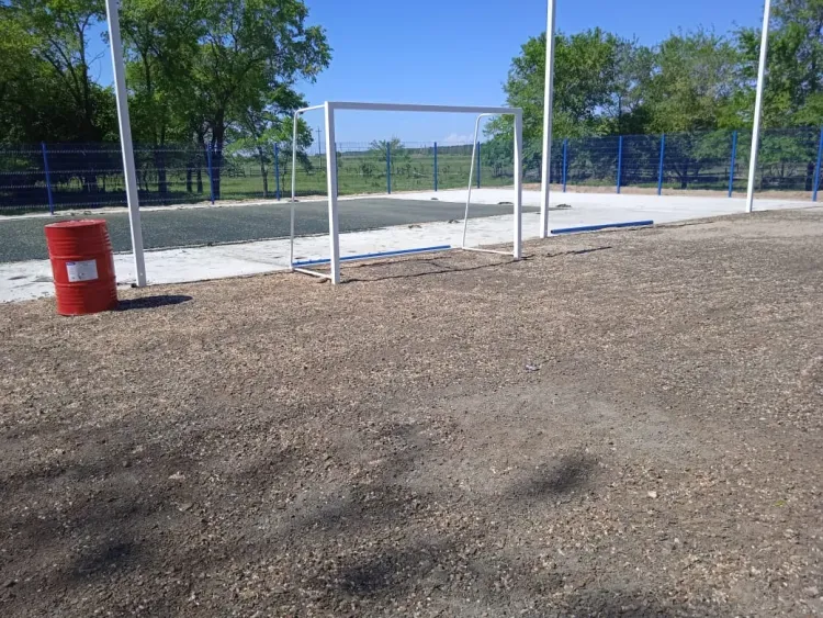 Василий Орлов назвал число спортивных объектов, появившихся при поддержке "Газпрома"