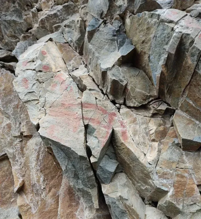 Лоси и поедающий солнце медведь: археологи расшифровали писаницу в Тындинском районе