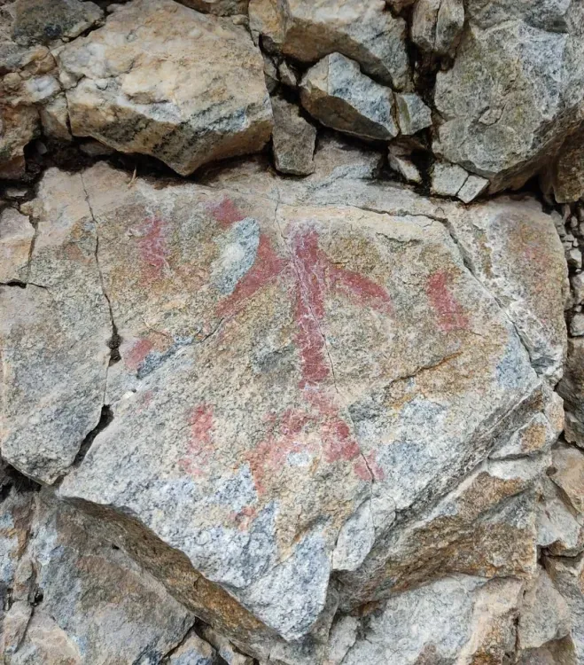 Лоси и поедающий солнце медведь: археологи расшифровали писаницу в Тындинском районе